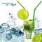 Edge Collections -Silver-Reusable Ice Cubes for Cocktails-6 pcs